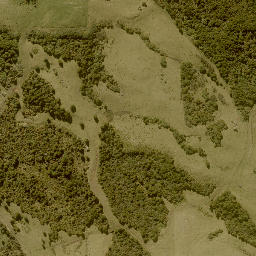 Satellite imagery of 1705 TUHUA, NZ