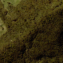 Satellite imagery of 1705 TUHUA, NZ