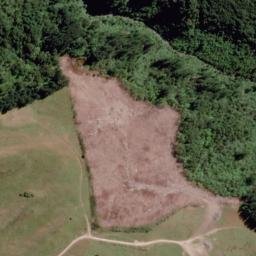 Satellite imagery of 10224, NZ