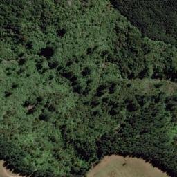 Satellite imagery of 10224, NZ