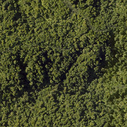 Satellite imagery of 10021 TAWHITIRAUPEKA NO 2, NZ