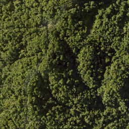 Satellite imagery of 10021 TAWHITIRAUPEKA NO 2, NZ