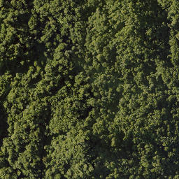 Satellite imagery of 10021 TAWHITIRAUPEKA NO 2, NZ