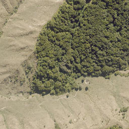 Satellite imagery of PRENTICE, NZ