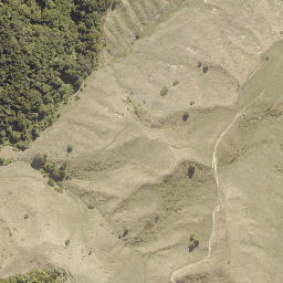 Satellite imagery of PRENTICE, NZ
