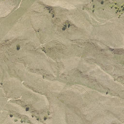 Satellite imagery of PRENTICE, NZ