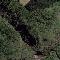 Satellite imagery of Rangiora Point, NZ