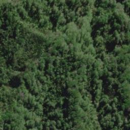 Satellite imagery of K WAIOTU, NZ