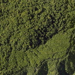Satellite imagery of 10021 TAWHITIRAUPEKA NO 2, NZ