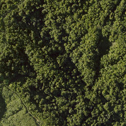 Satellite imagery of 10021 TAWHITIRAUPEKA NO 2, NZ