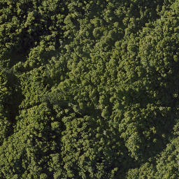Satellite imagery of 10021 TAWHITIRAUPEKA NO 2, NZ