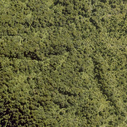 Satellite imagery of A ARATAUA, NZ
