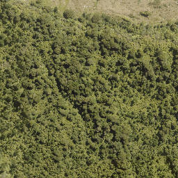 Satellite imagery of A ARATAUA, NZ