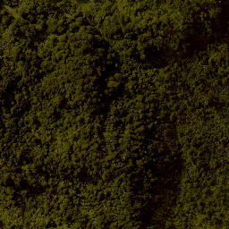 Satellite imagery of 1387 HIKURANGI, NZ