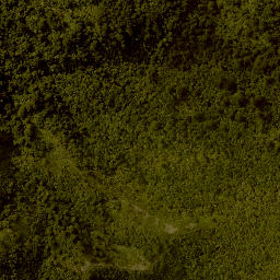 Satellite imagery of 1387 HIKURANGI, NZ