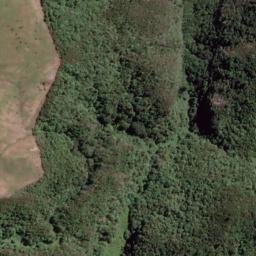 Satellite imagery of Wharekaho Point, NZ