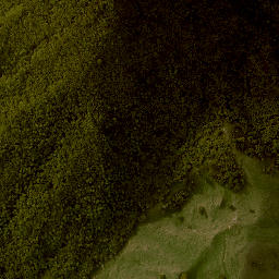 Satellite imagery of 1387 HIKURANGI, NZ