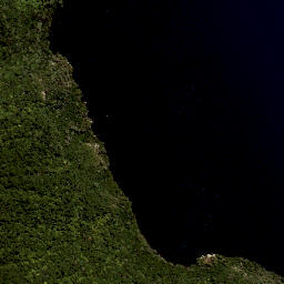 Satellite imagery of Te Kopipiaparekawa Point, NZ