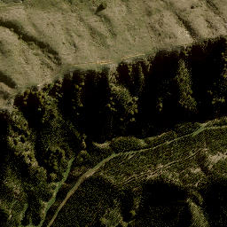 Satellite imagery of 10123, NZ