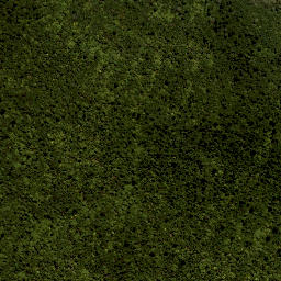 Satellite imagery of Te Kopipiaparekawa Point, NZ