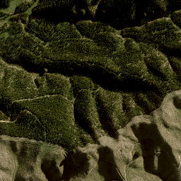 Satellite imagery of 10123, NZ