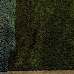 Satellite imagery of Te Kopipiaparekawa Point, NZ