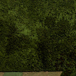 Satellite imagery of Te Kopipiaparekawa Point, NZ