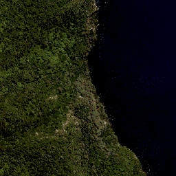 Satellite imagery of Te Oineohu Point, NZ