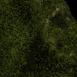 Satellite imagery of Te Oineohu Point, NZ