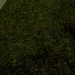 Satellite imagery of Toineohui, NZ