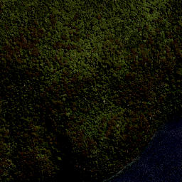 Satellite imagery of Toineohui, NZ