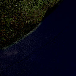 Satellite imagery of Toineohui, NZ