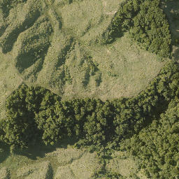 Satellite imagery of 10023, NZ