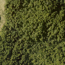 Satellite imagery of 10023, NZ