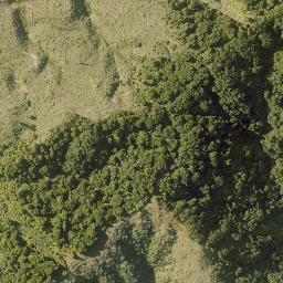 Satellite imagery of 10023, NZ