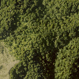 Satellite imagery of 10023, NZ