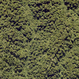 Satellite imagery of 10141, NZ