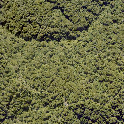 Satellite imagery of 10141, NZ