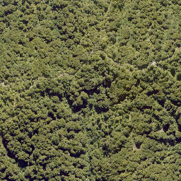 Satellite imagery of 10141, NZ