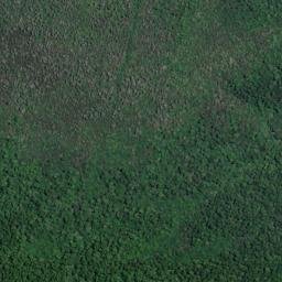 Satellite imagery of Te Kokomiko Point, NZ
