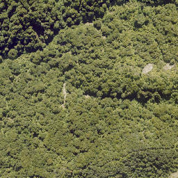 Satellite imagery of 10141, NZ