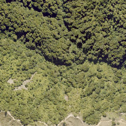 Satellite imagery of 10141, NZ