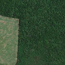 Satellite imagery of Te Kokomiko Point, NZ