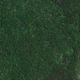Satellite imagery of Te Kokomiko Point, NZ