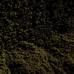 Satellite imagery of 1711 HAUHUNGAROA, NZ