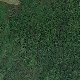 Satellite imagery of Te Kokomiko Point, NZ