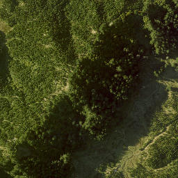 Satellite imagery of 10051, NZ