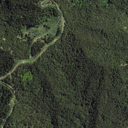 Satellite imagery of Whareongaonga, NZ