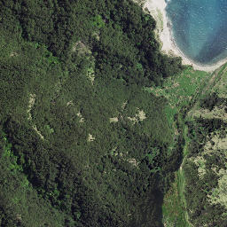 Satellite imagery of Whareongaonga, NZ