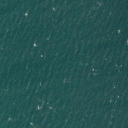 Satellite imagery of Bird Rock, AU